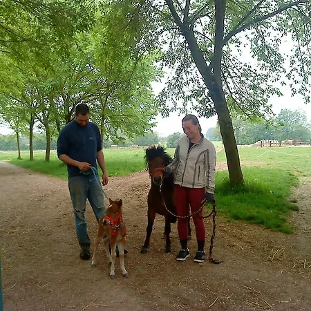 Bed & Breakfast Le Manoir De