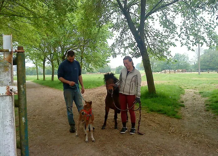 Bed & Breakfast Le Manoir De Villers